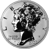 2022 Palladium Eagle